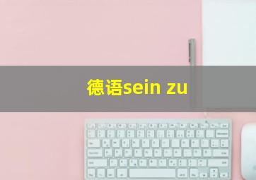 德语sein zu